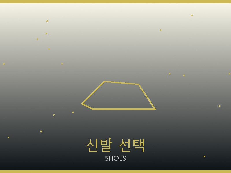 에륩스 레플리카 사이트 신발 선택 가이드
